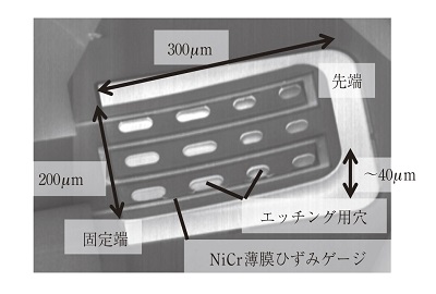 接触力計測のためのマイクロメカニカルセンサの実装とノイズ低減（月刊EMC）