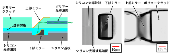 図2　今回開発した3次元マイクロミラー"