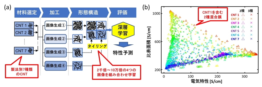 図 今回開発したAI技術によるCNT膜の仮想実験(a)とさまざまなCNT膜の物性予測(b)</p