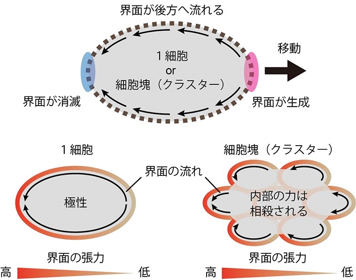 図3