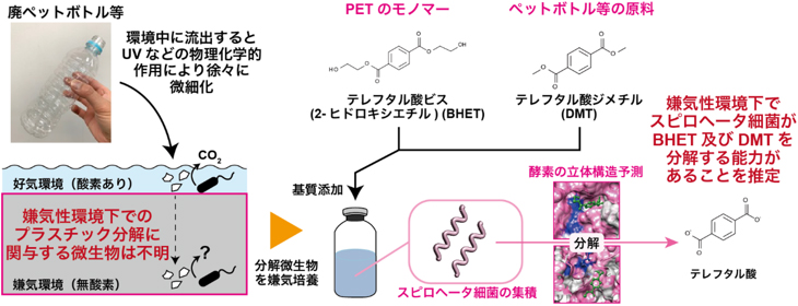 PET関連物質の嫌気性分解に関する研究成果の概要"
