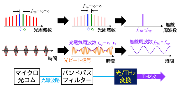 図2 マイクロ光コムの光/電気変換によるテラヘルツ発生"