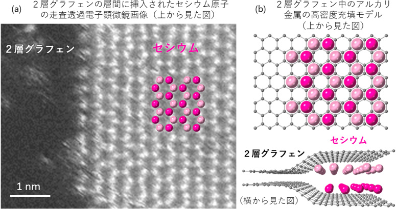 アルカリ金属は、2層グラフェンに挿入される際に六方最密充填の2重層を形成します。※原論文の図を引用・改変したものを使用しています。"